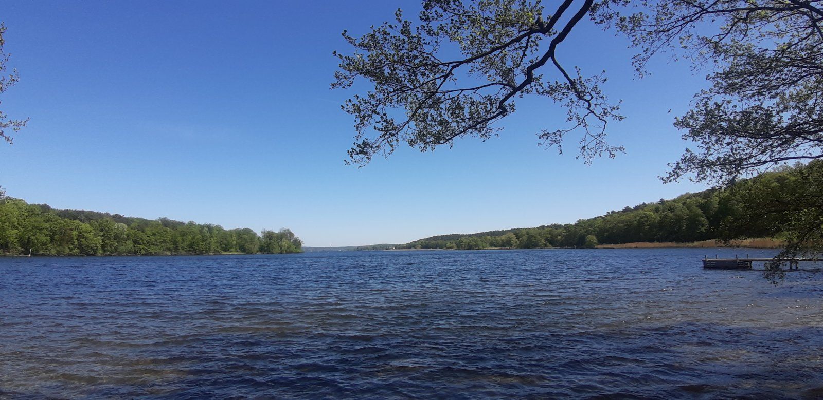 20230508_122755.jpg