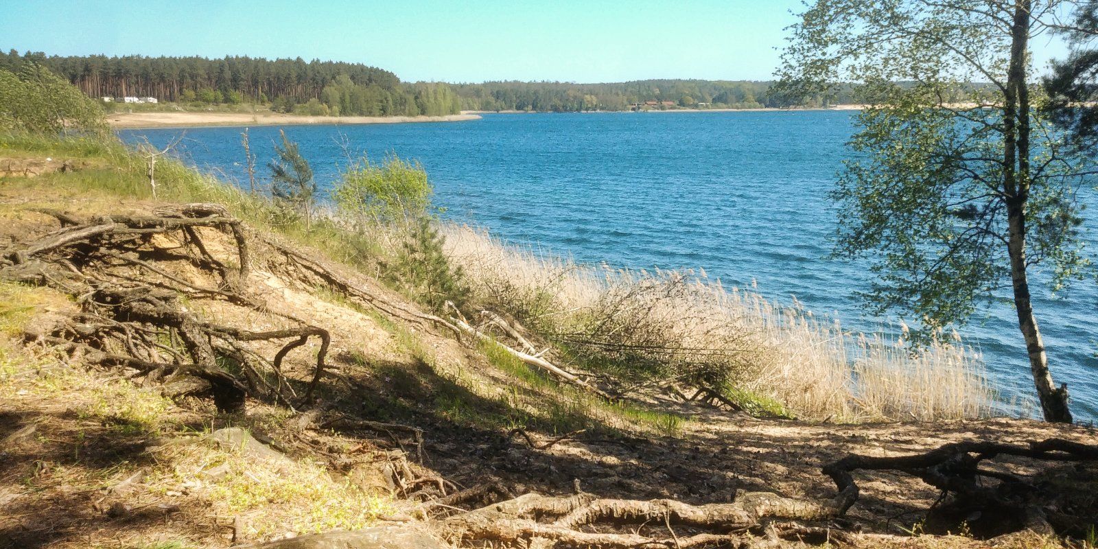 20230509_105951.jpg