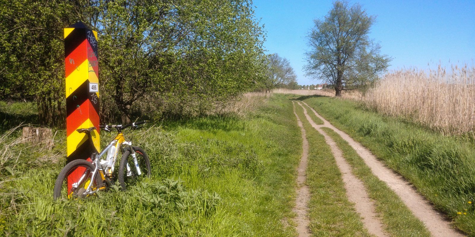 20230509_114107.jpg