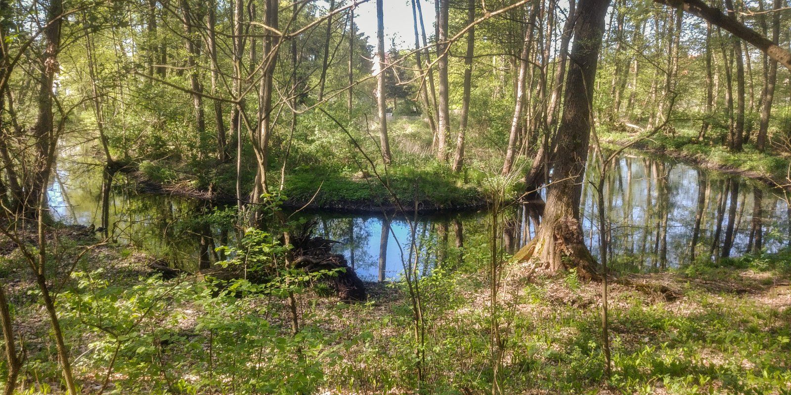 20230509_171016.jpg