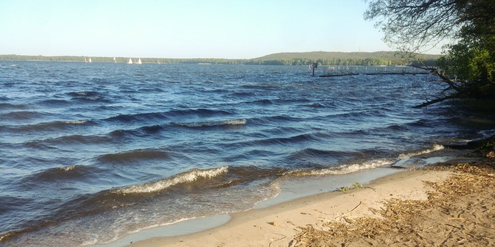 20230509_181948.jpg