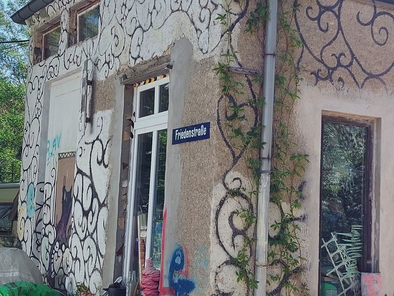 20230510_104652.jpg