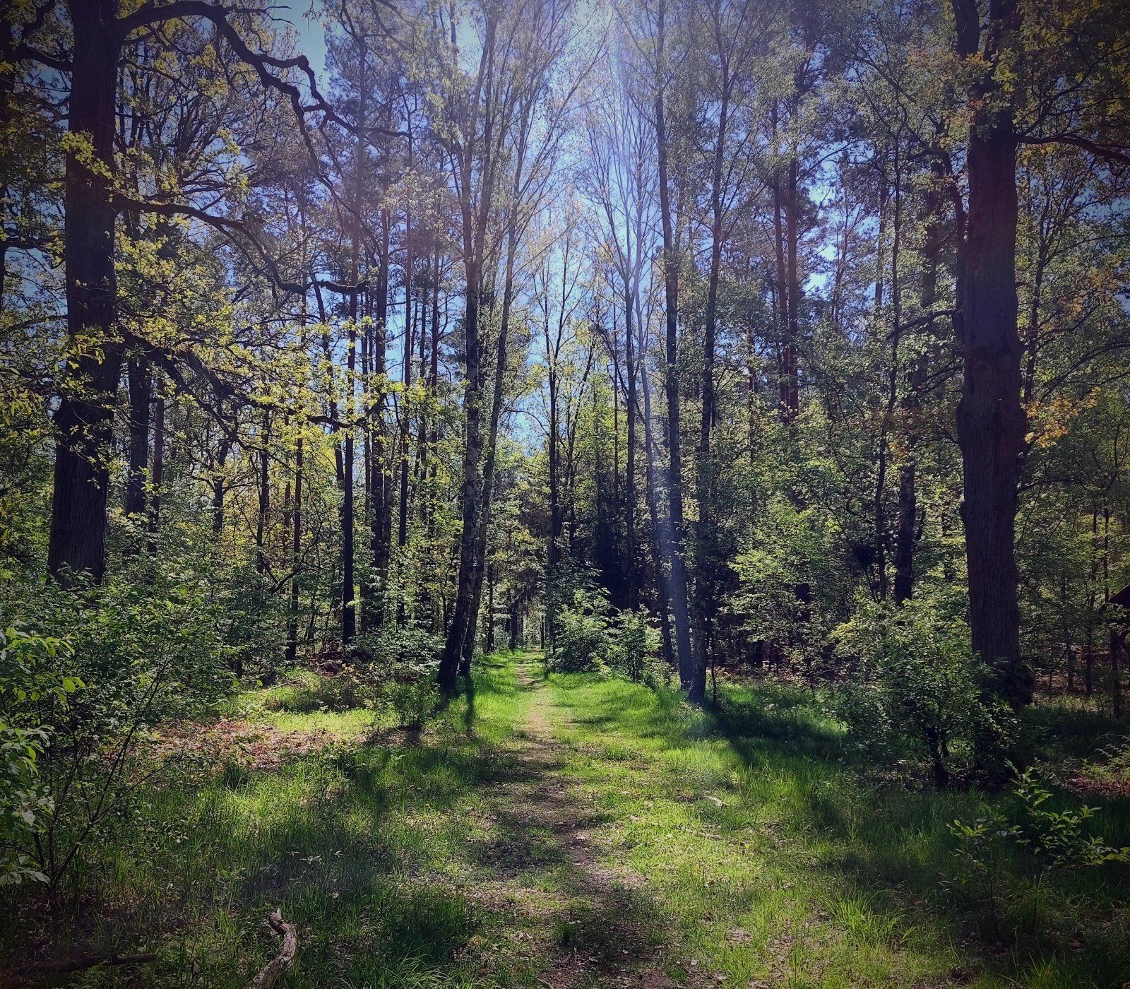 20230510_105851~2.jpg