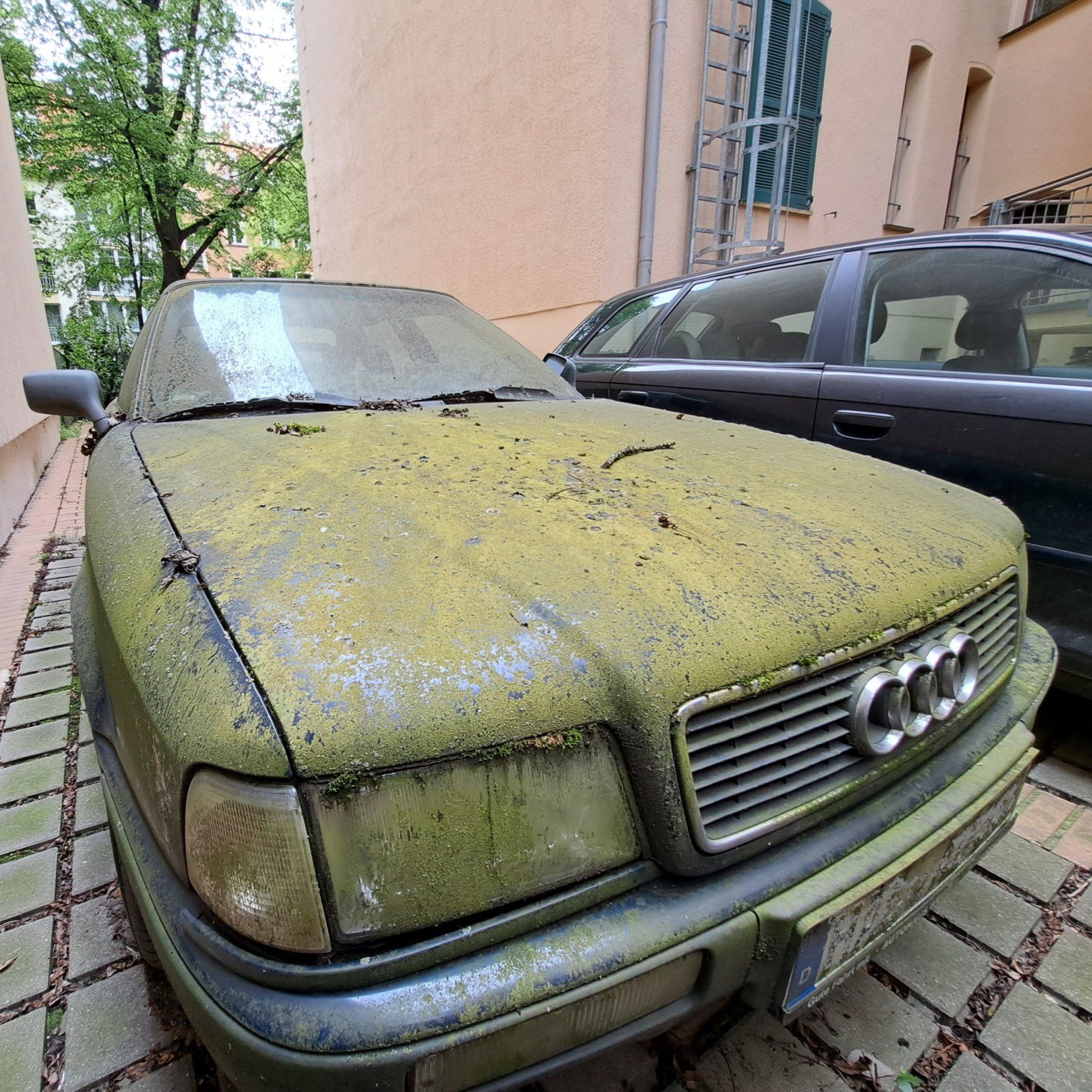20230515_132000.jpg