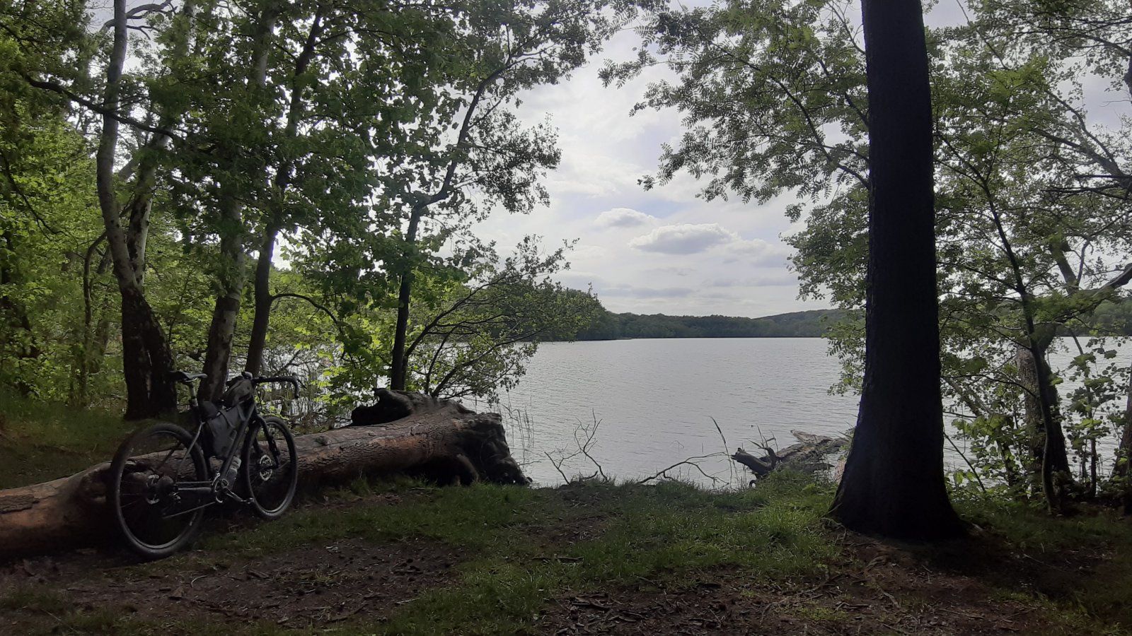 20230518_151006.jpg