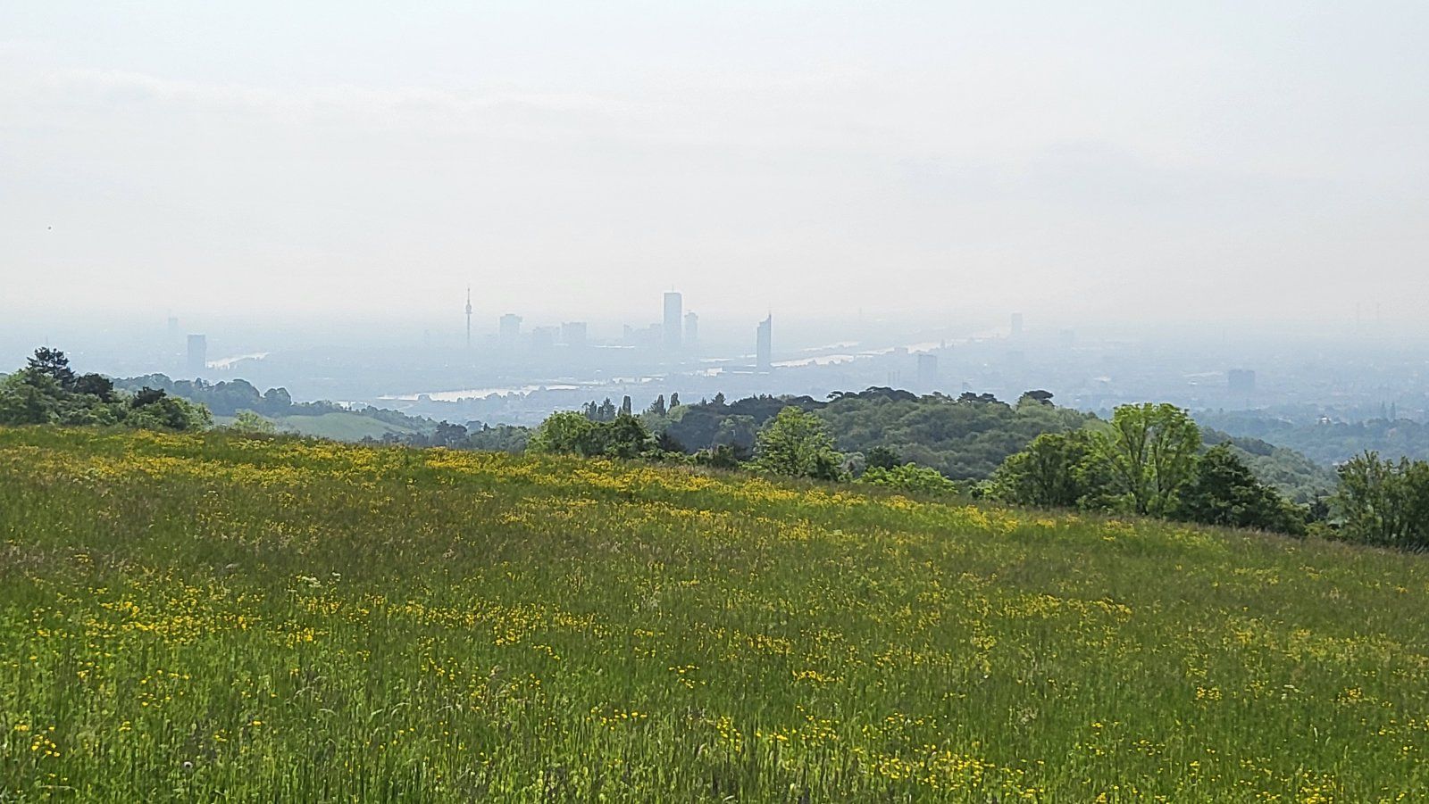20230520_094447.jpg