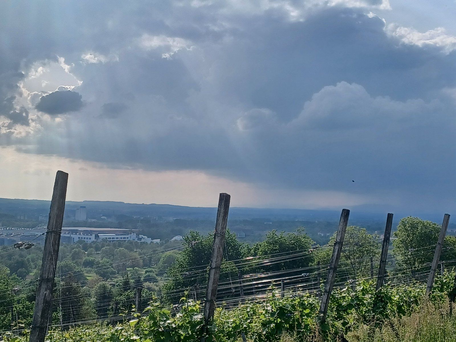 20230522_180742.jpg