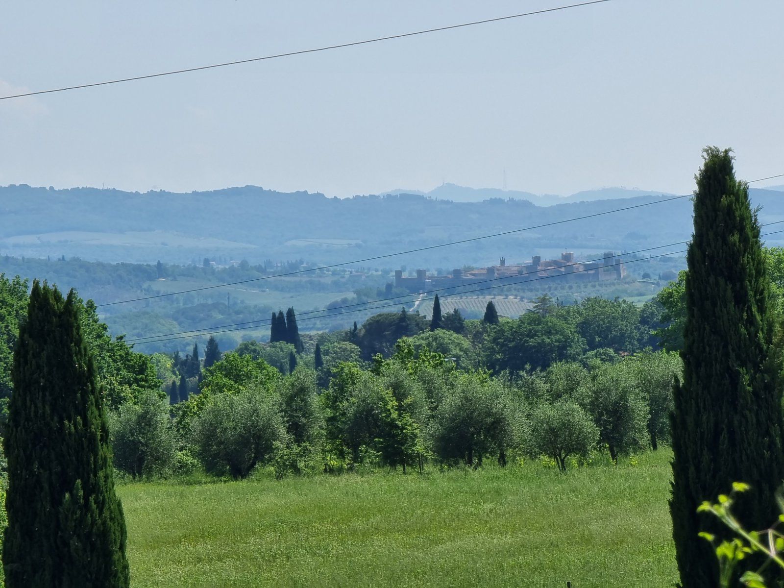 20230523_112314.jpg
