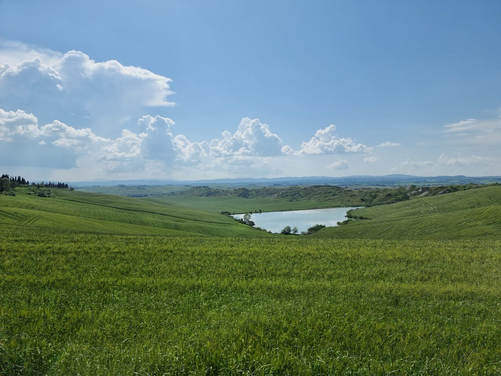 20230523_154928.jpg
