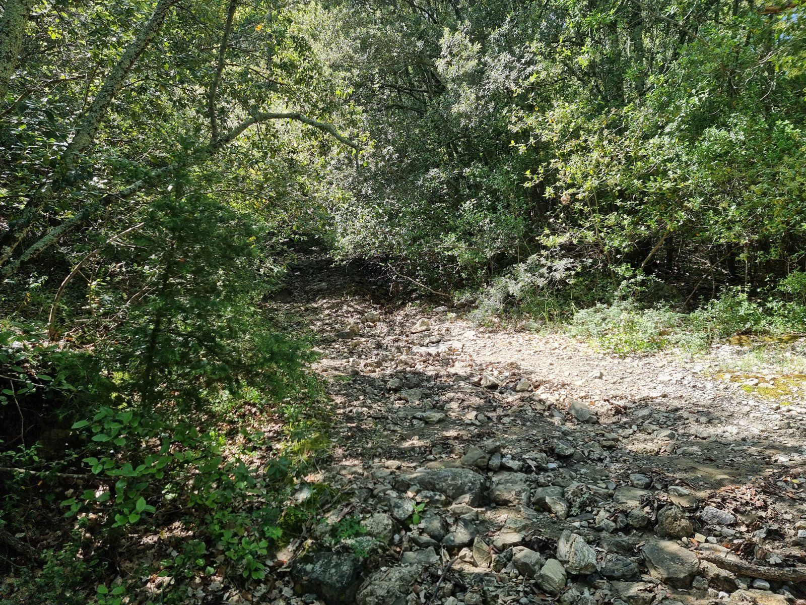 20230524_143902.jpg