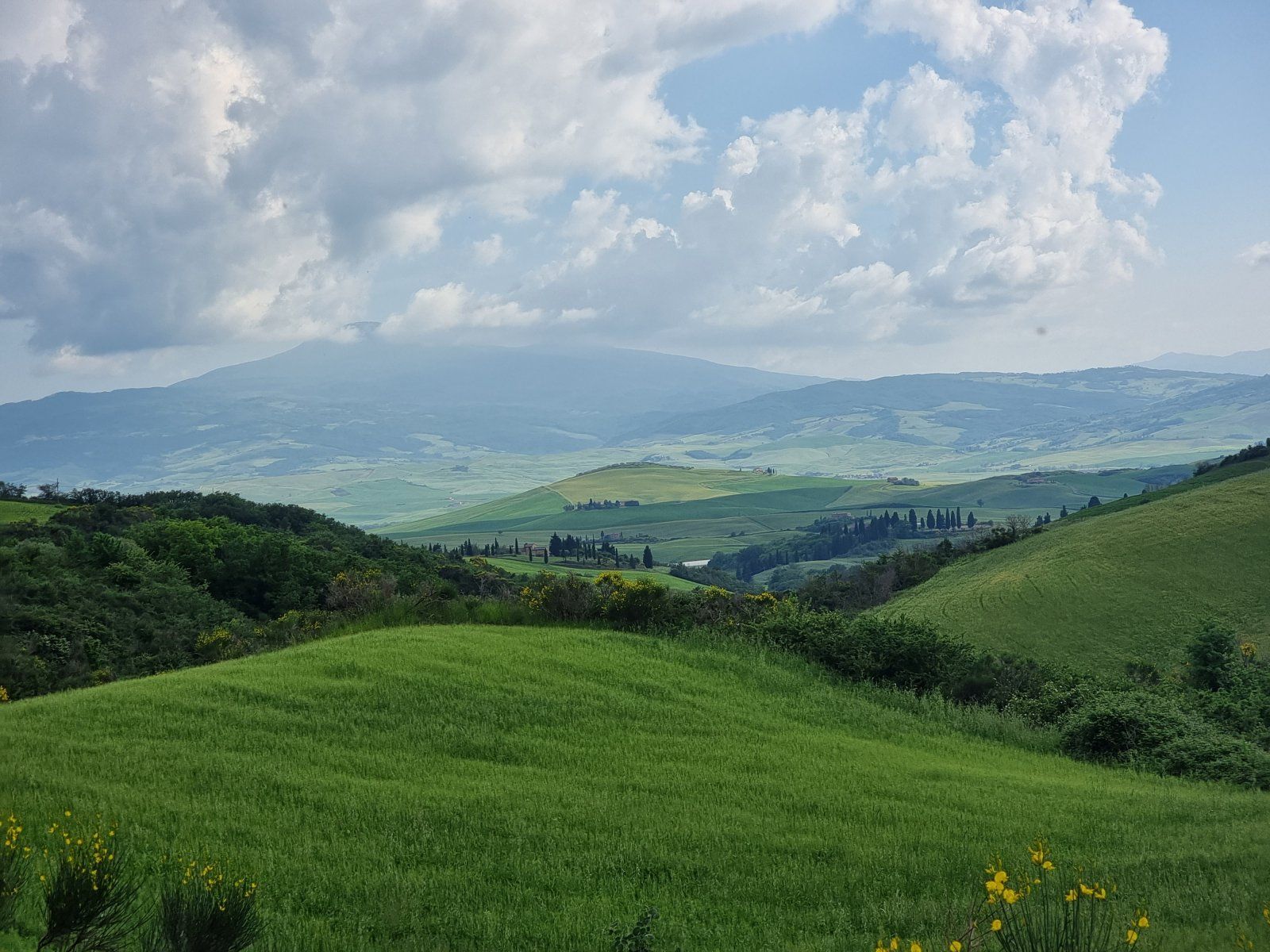 20230524_174607.jpg