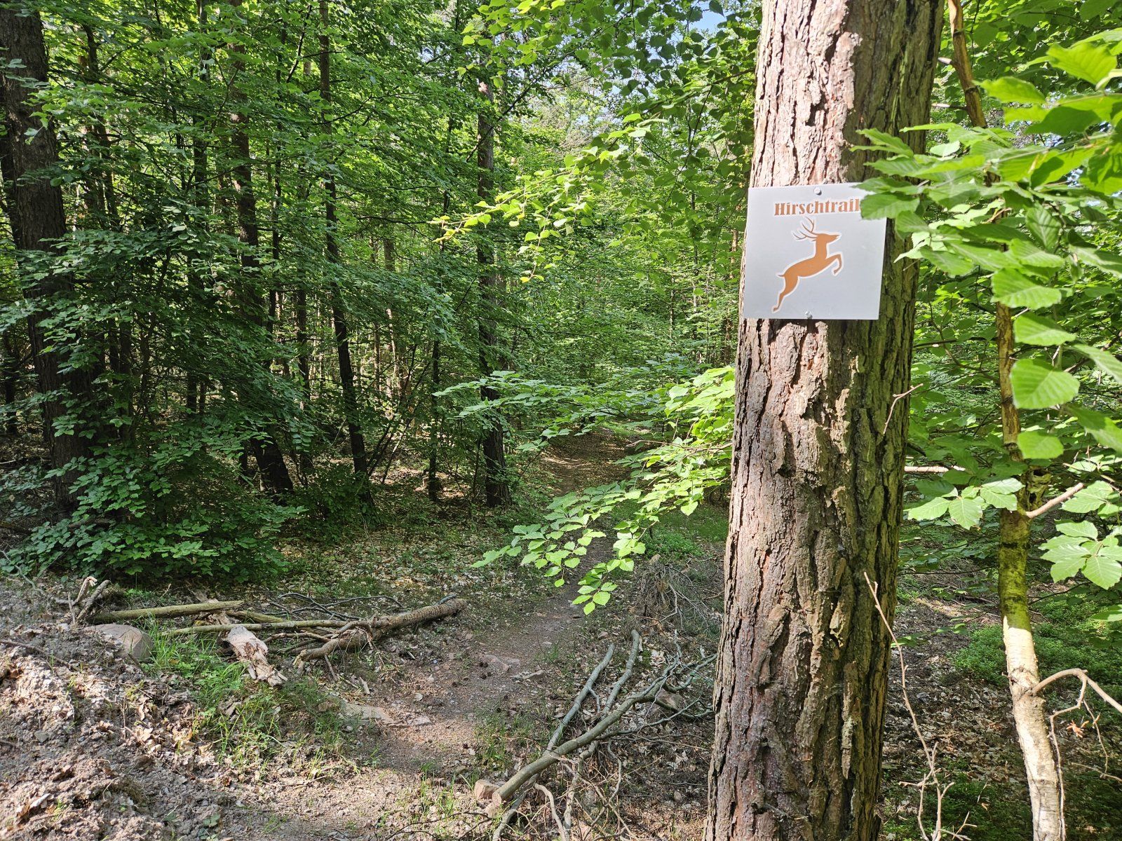 20230527_101039.jpg