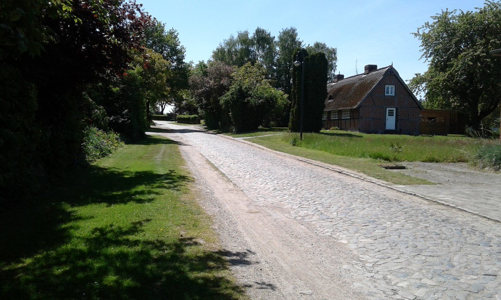 20230529_143123.jpg