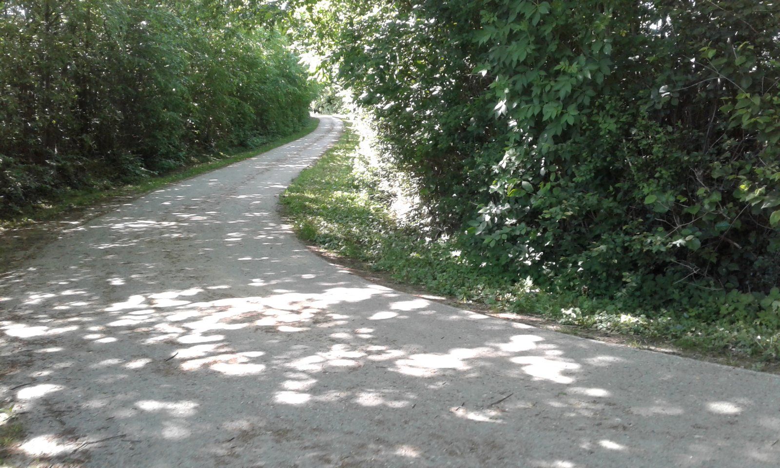 20230529_145841.jpg