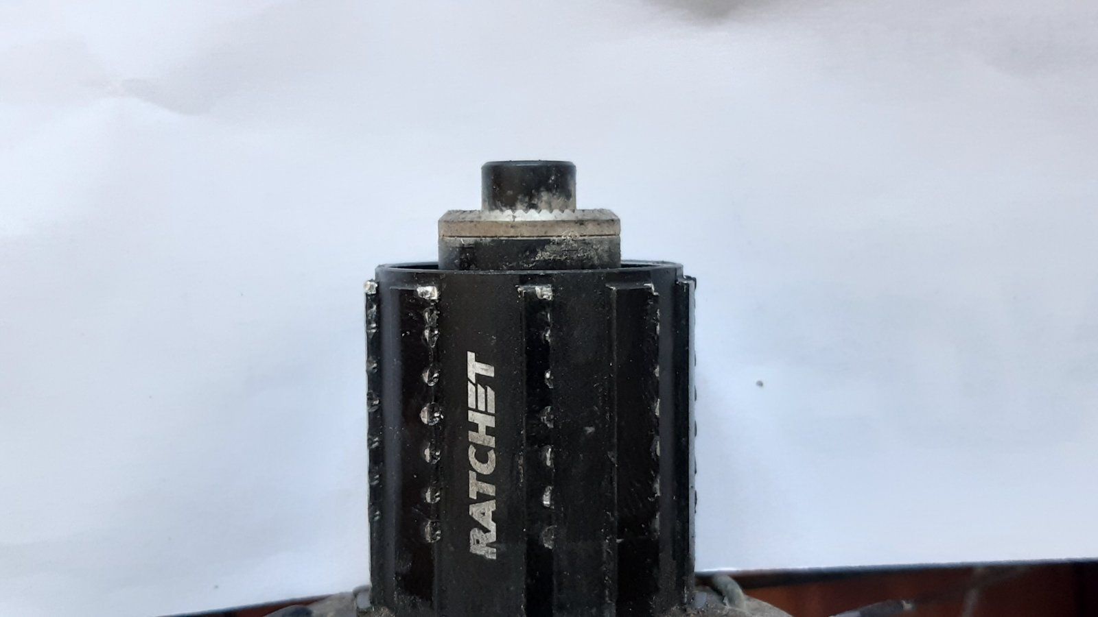 20230609_123805.jpg