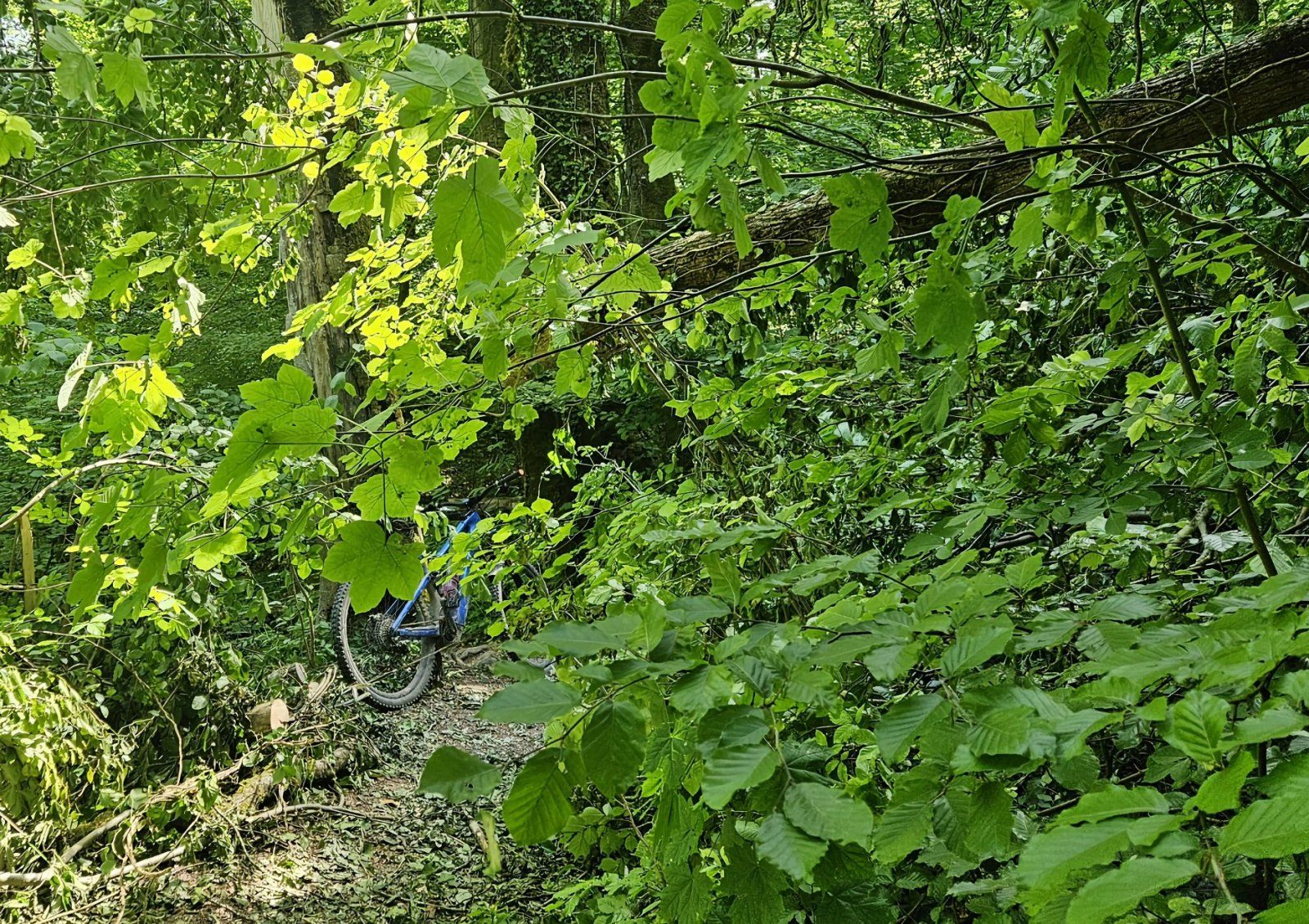 20230609_153432.jpg