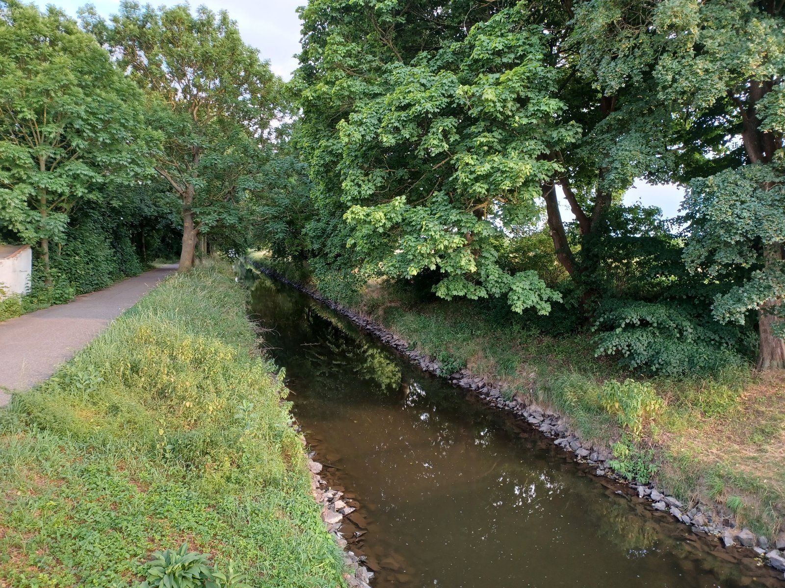 20230621_193335.jpg