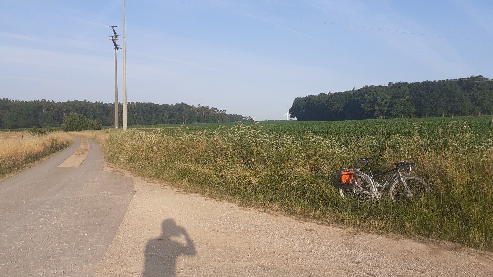 20230624_065508.jpg