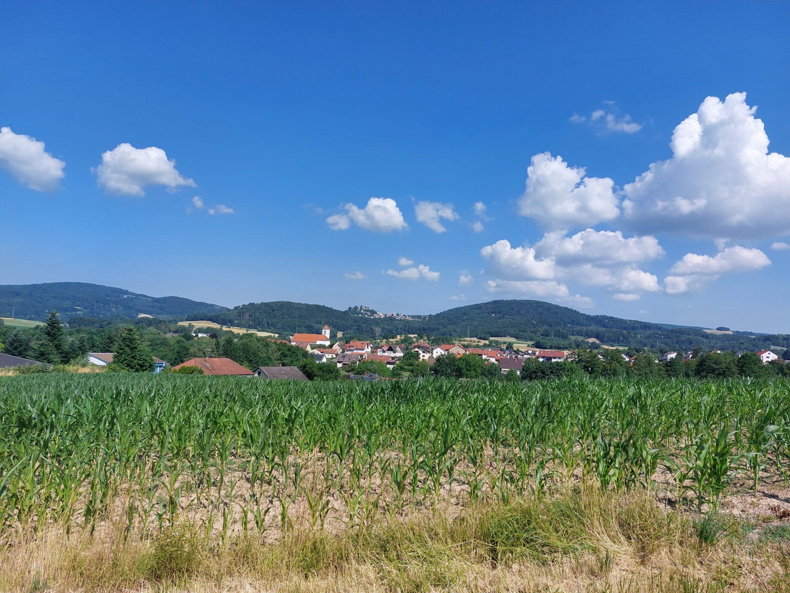 20230624_104048.jpg