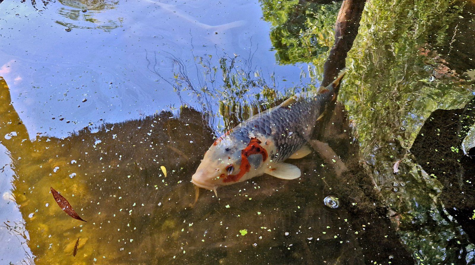 20230626_202018.jpg