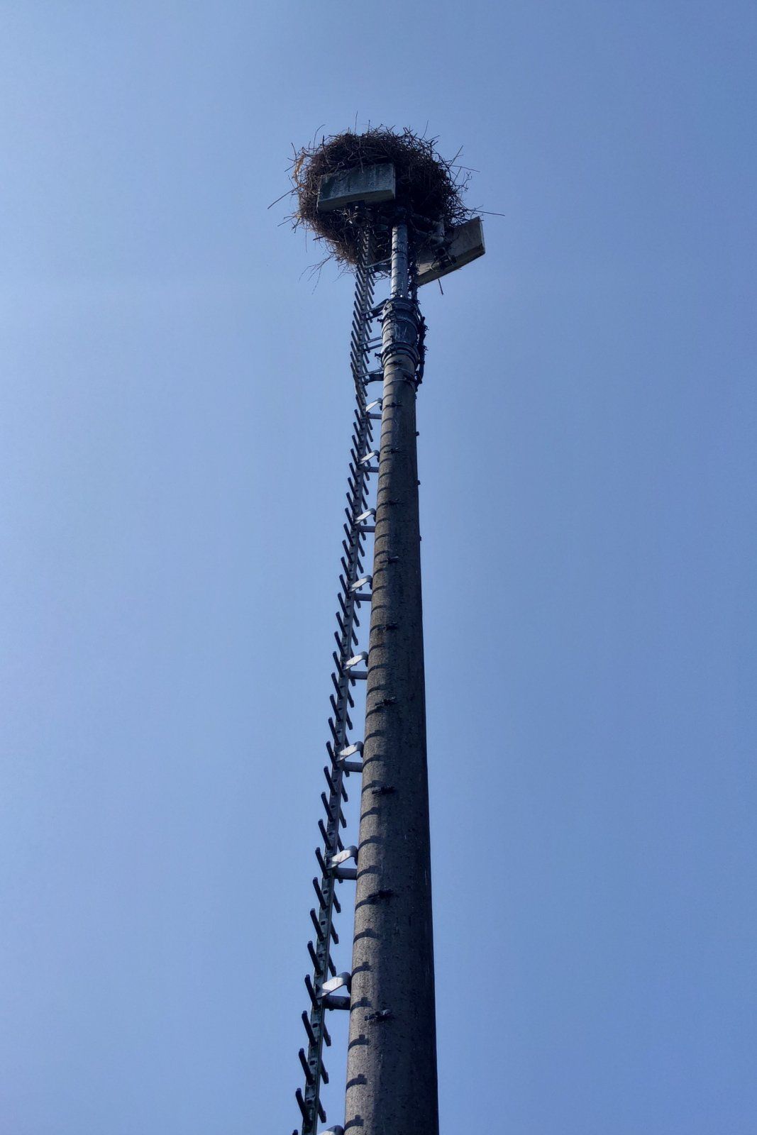 20230629_103839.JPG