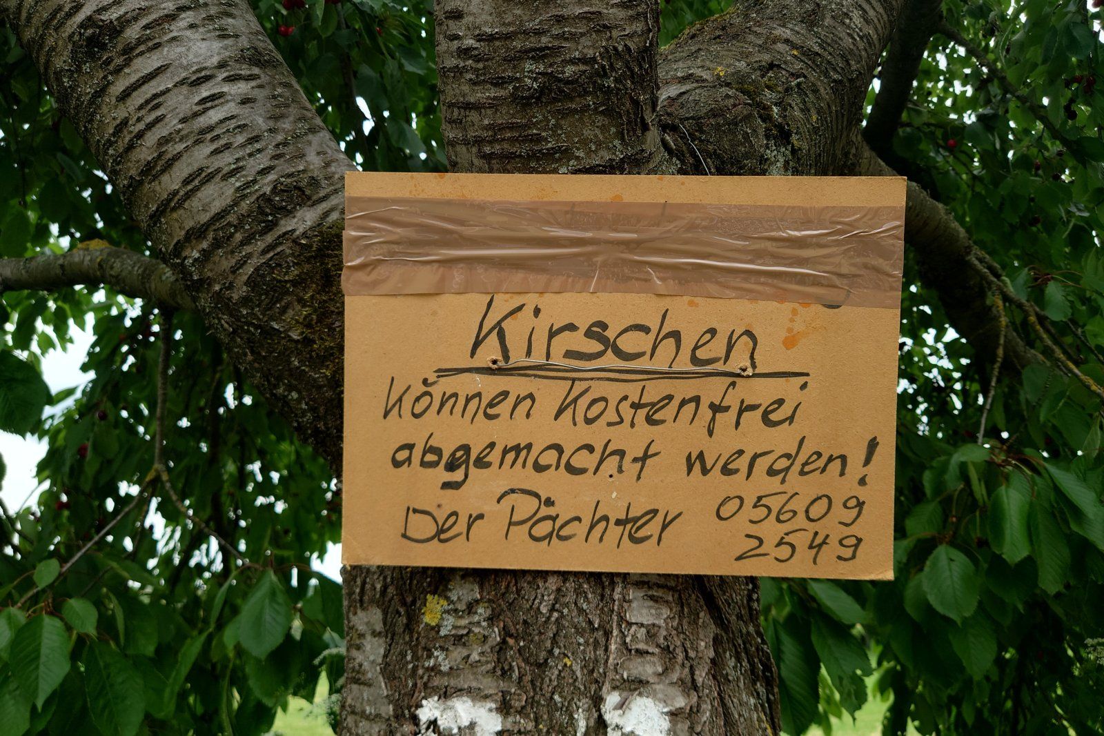 20230629_123745.JPG
