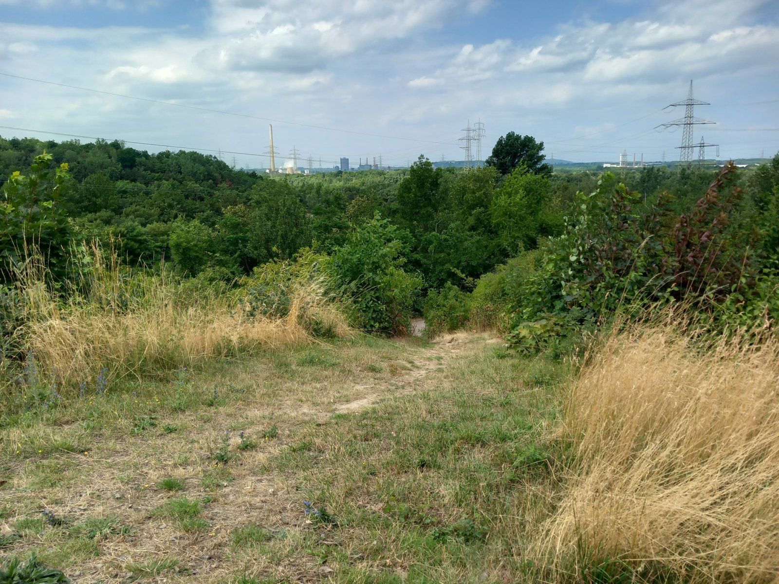 20230702_122613.jpg