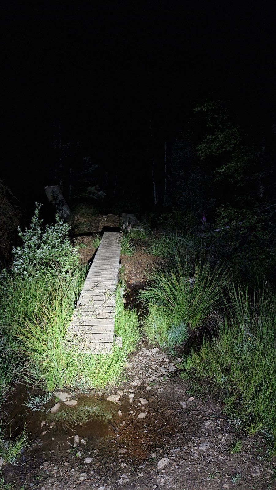 20230707_011526.jpg