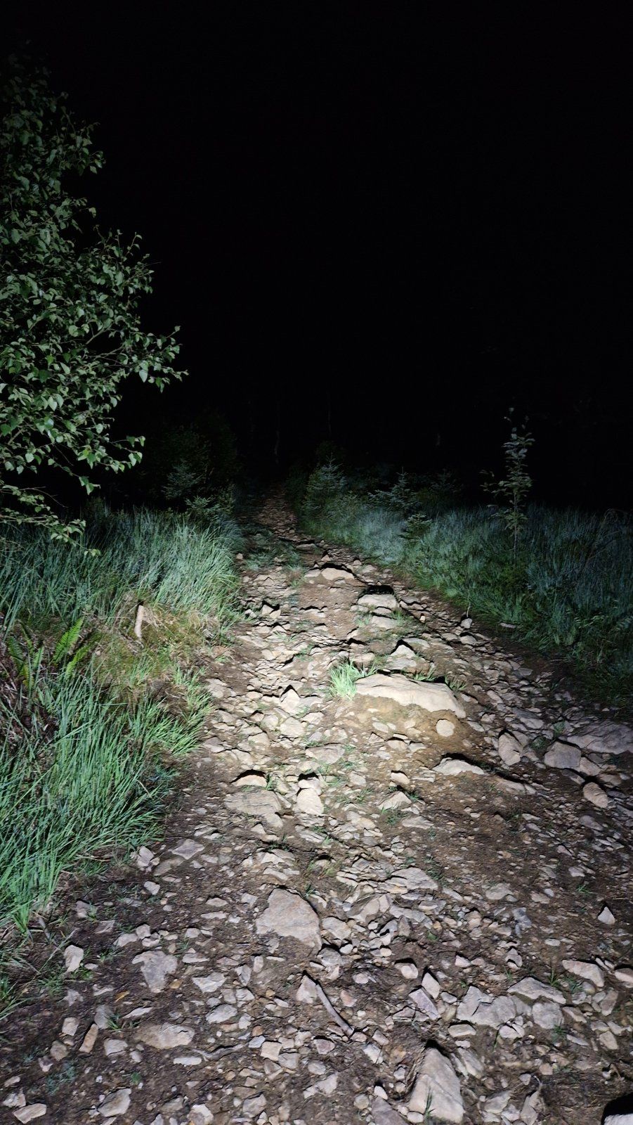 20230707_011735.jpg