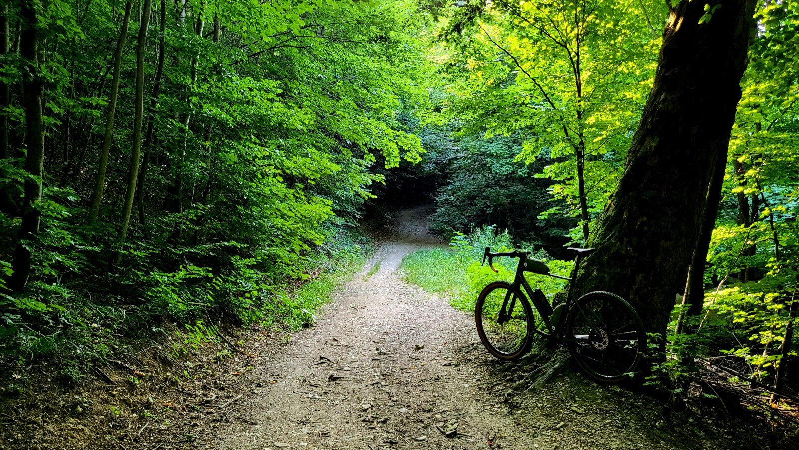 20230710_073147.jpg