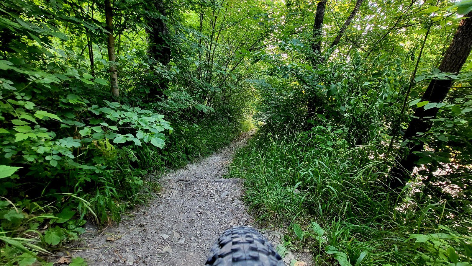 20230710_073723.jpg