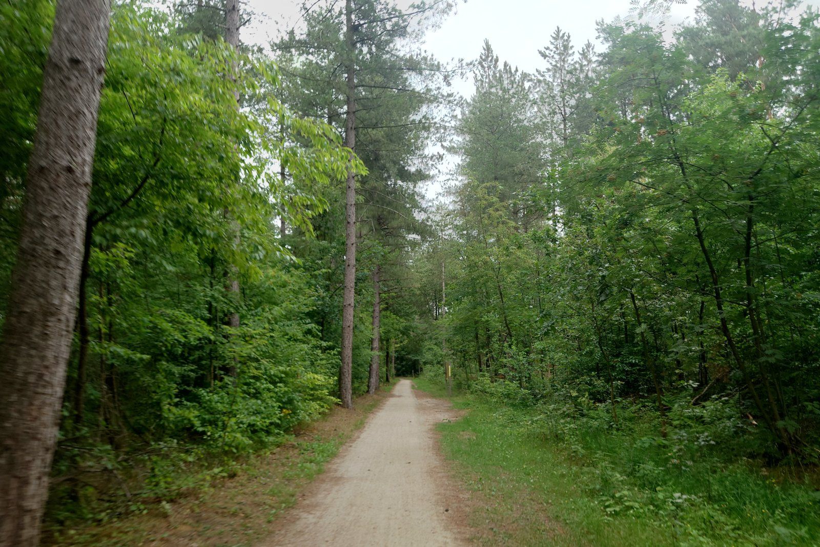 20230714_164832.JPG