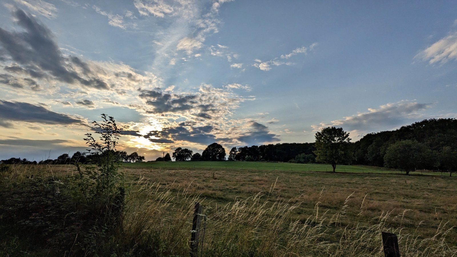 20230720_220220.jpg