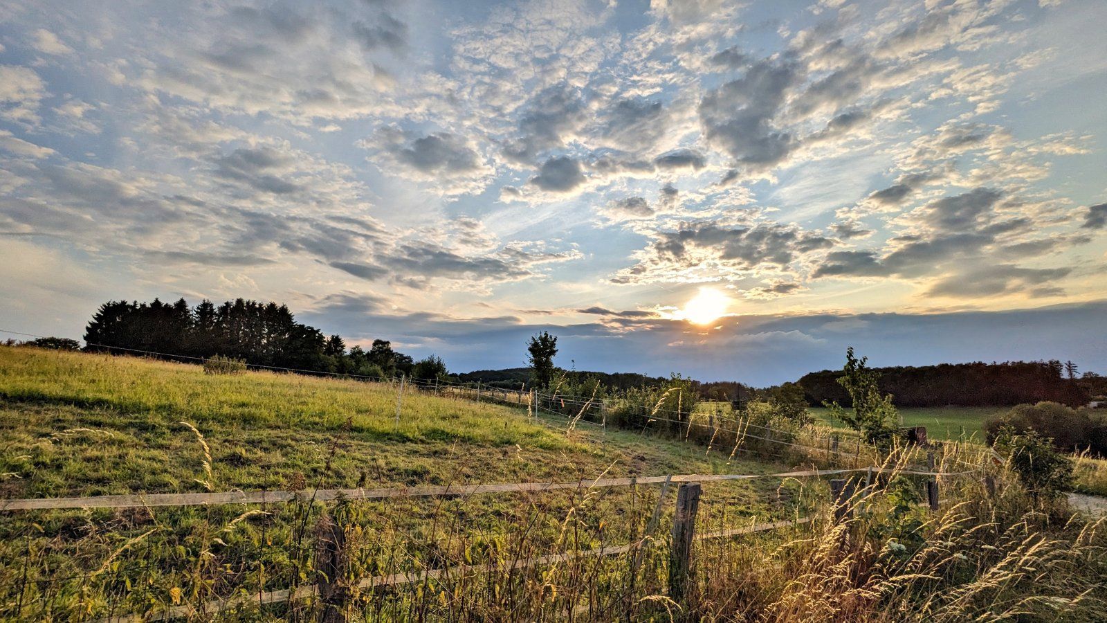 20230720_221242.jpg