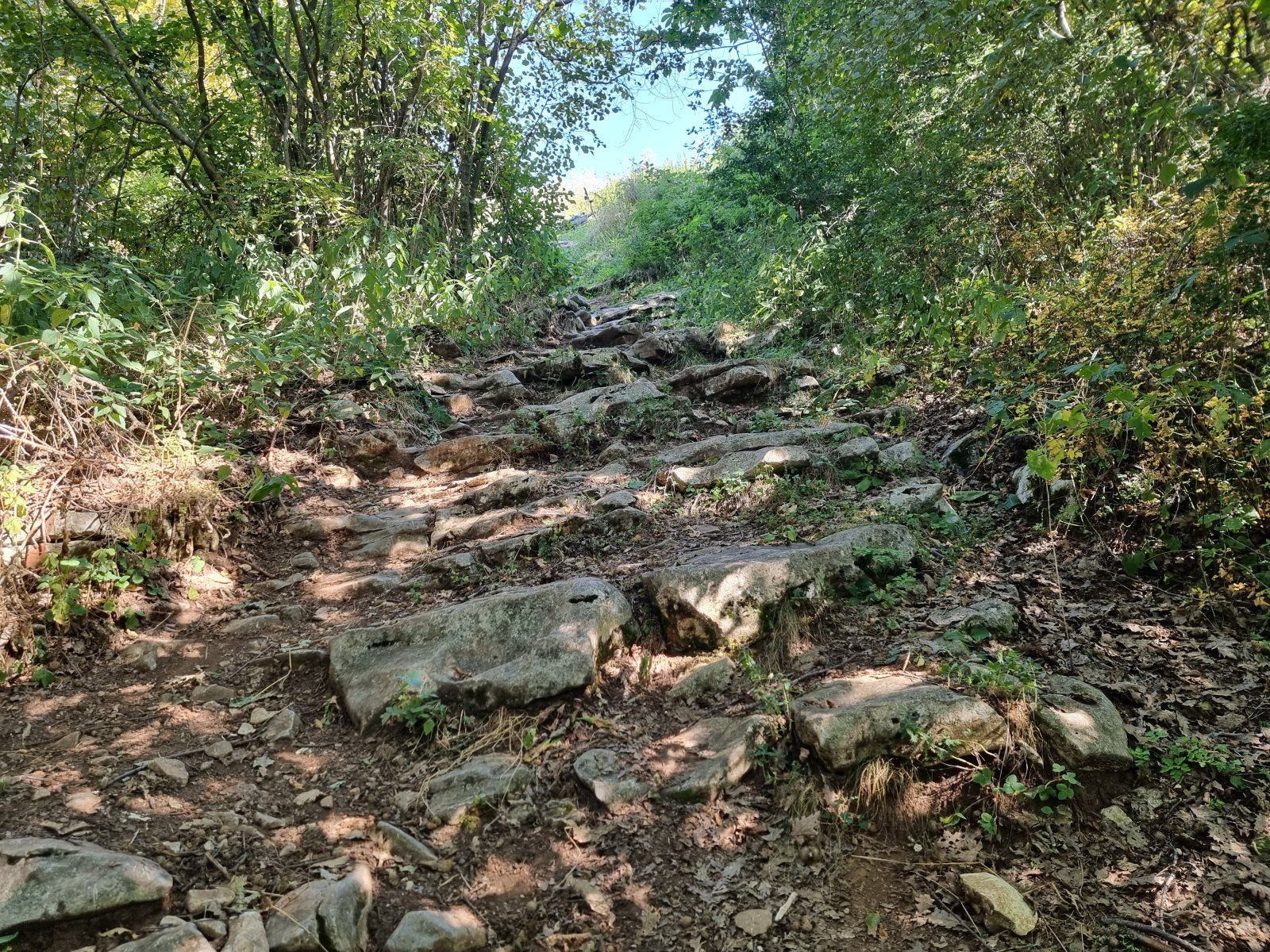 20230822_105324.jpg