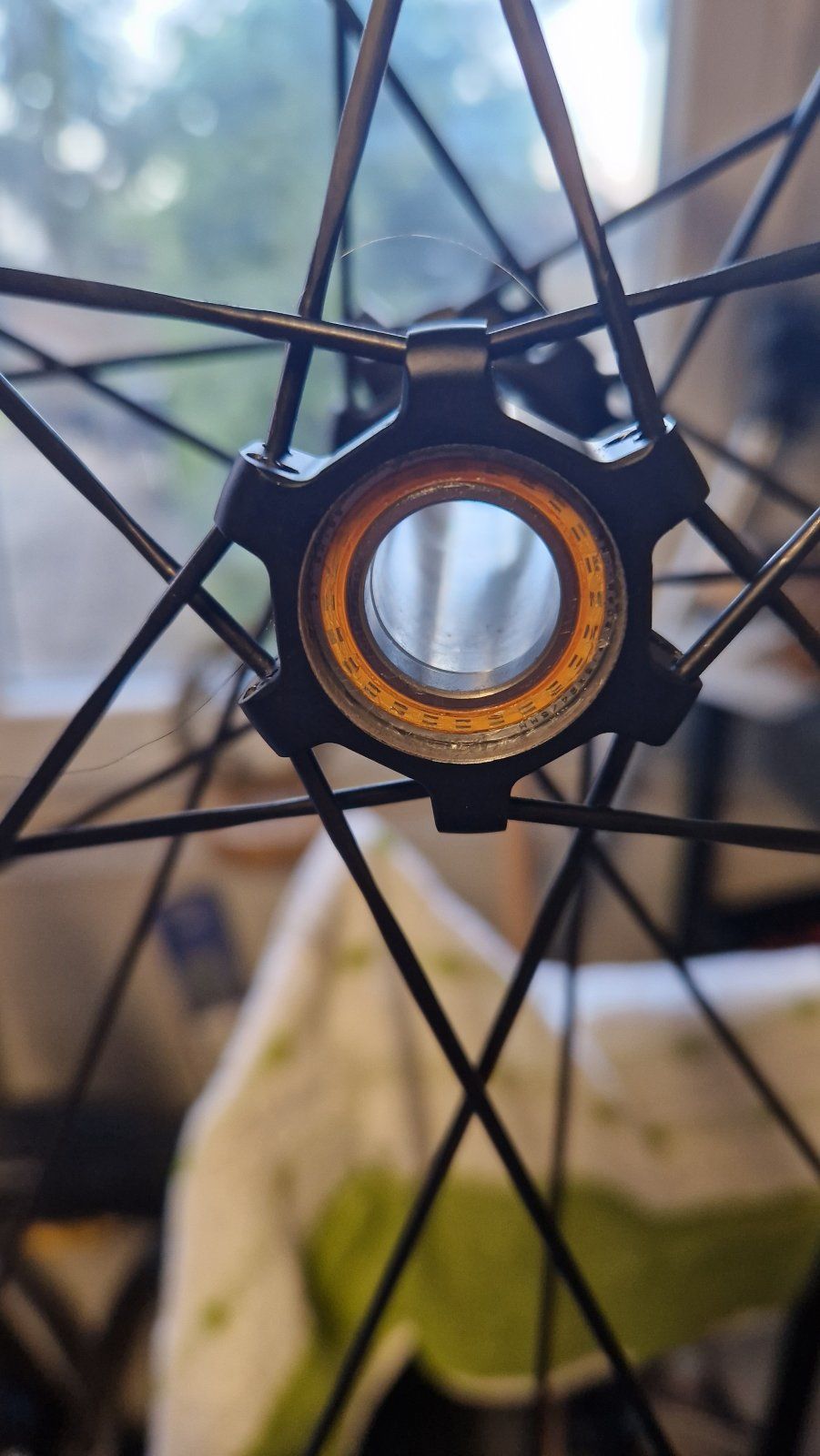 20230831_073743.jpg