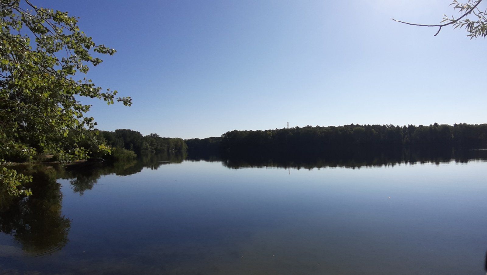 20230904_155215.jpg