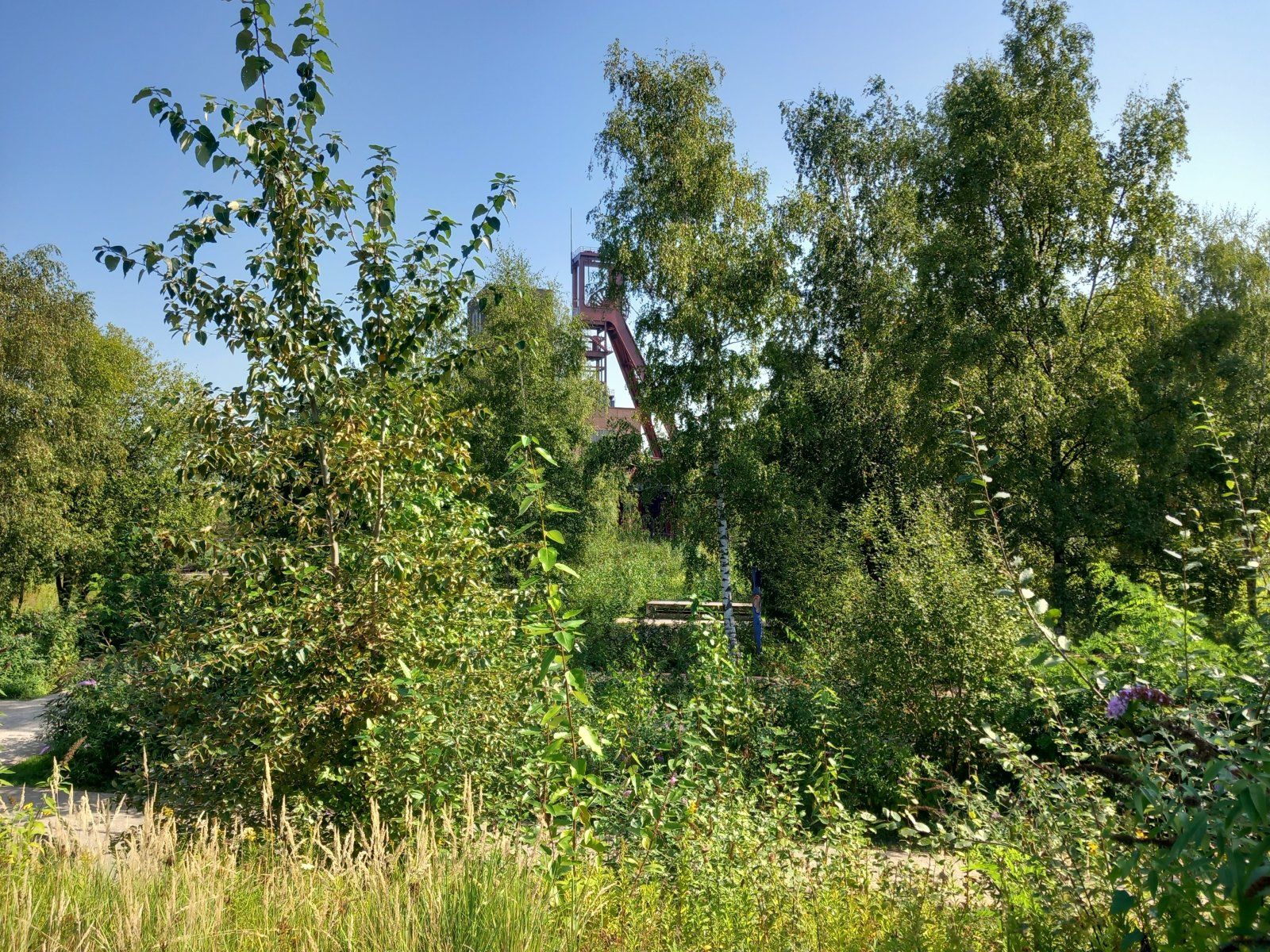 20230910_115804.jpg