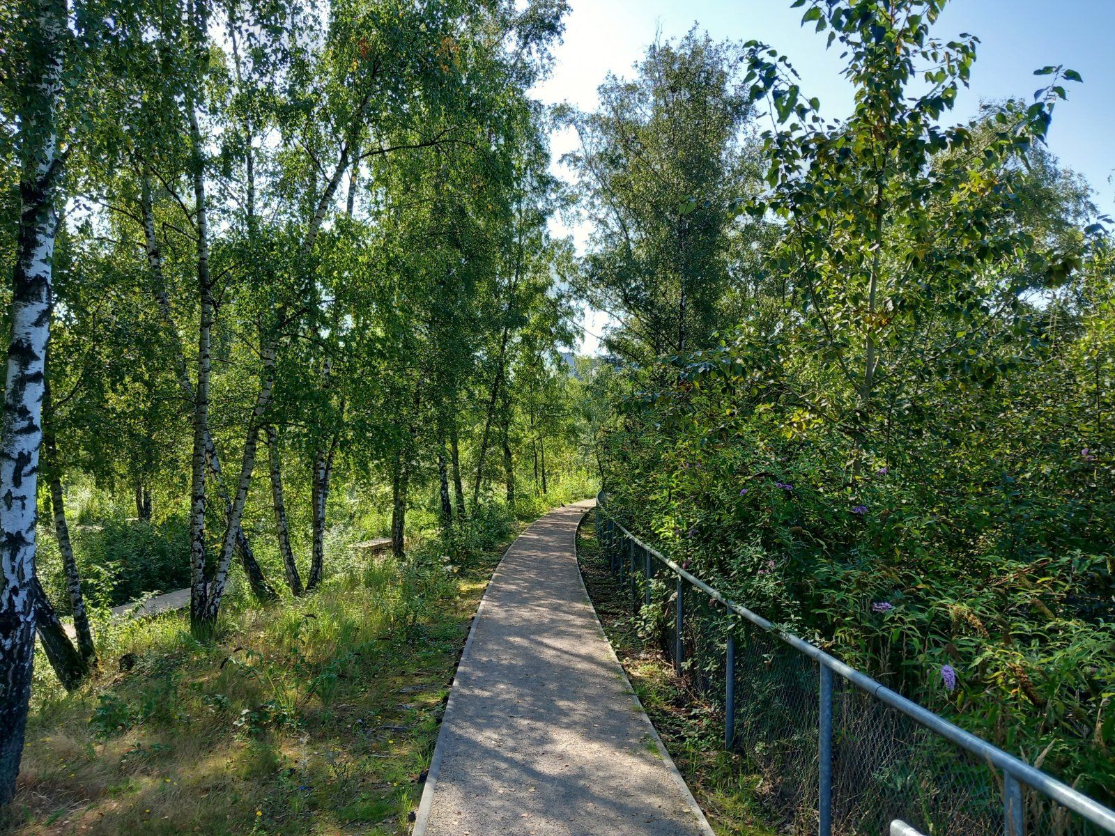 20230910_115829.jpg