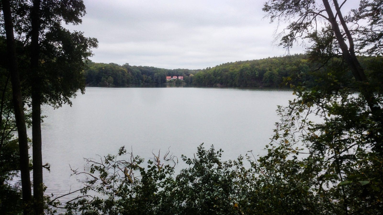 20230924_112858.jpg