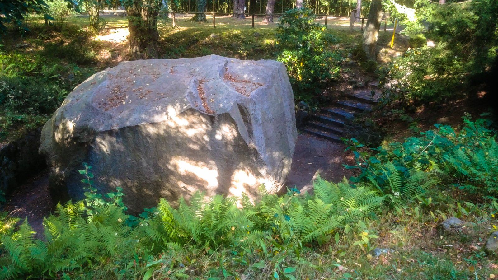 20230924_152037.jpg