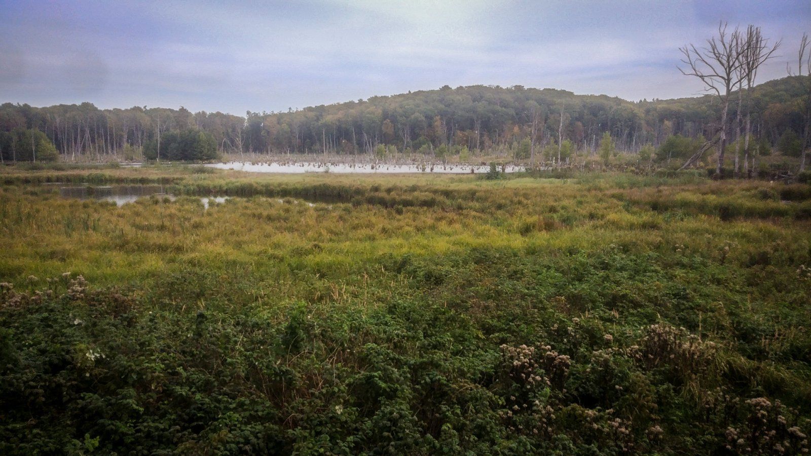 20230930_104057.jpg