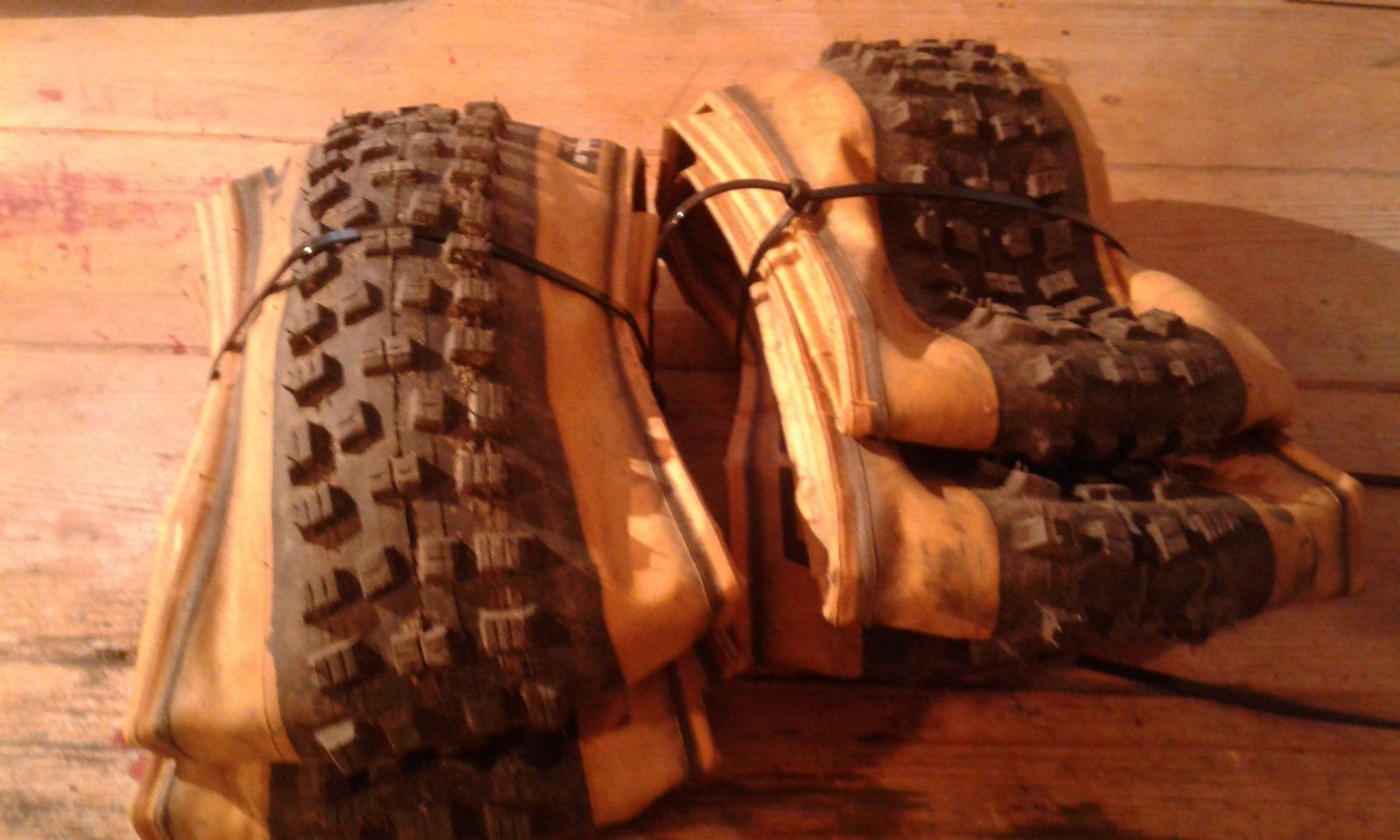 20231003_121848.jpg