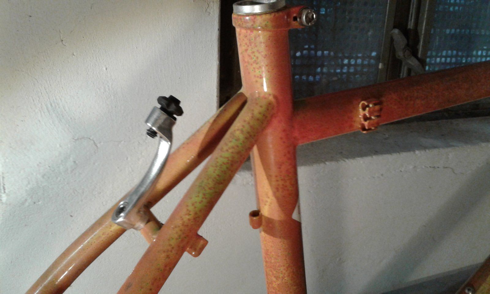 20231003_125209.jpg