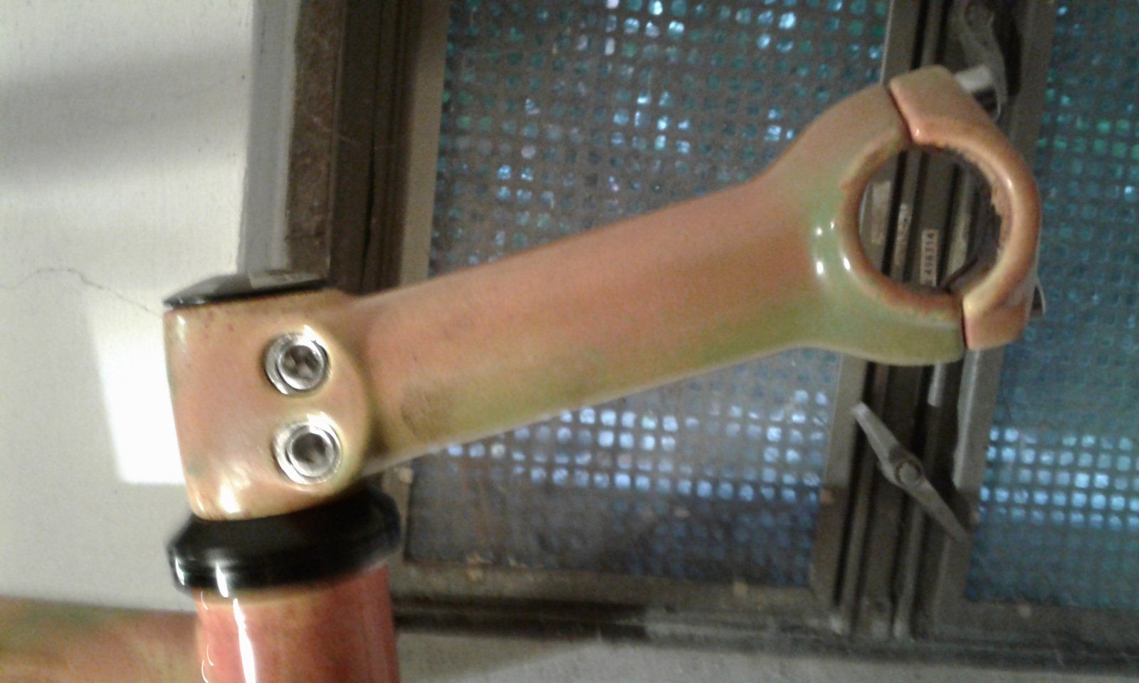 20231003_125250.jpg