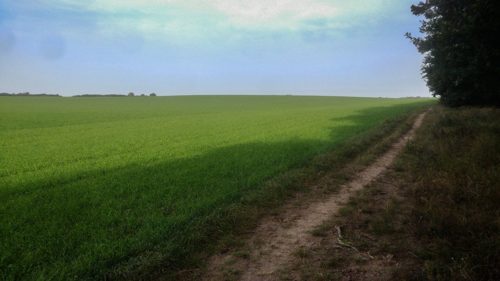 20231011_105207.jpg