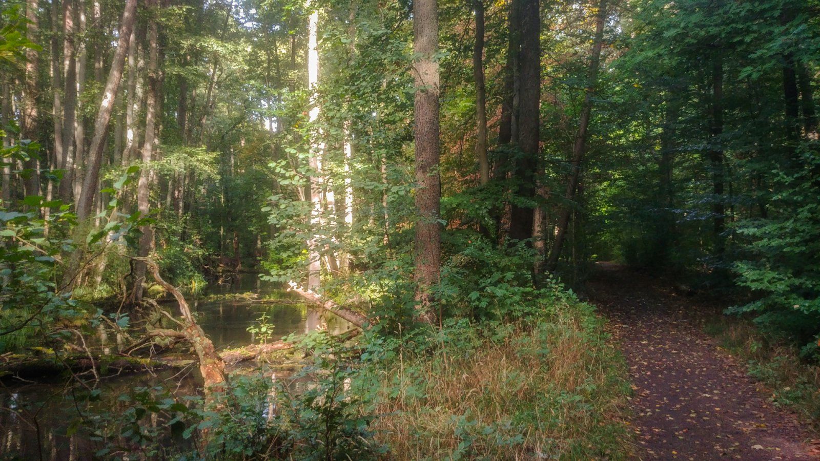 20231011_130233.jpg