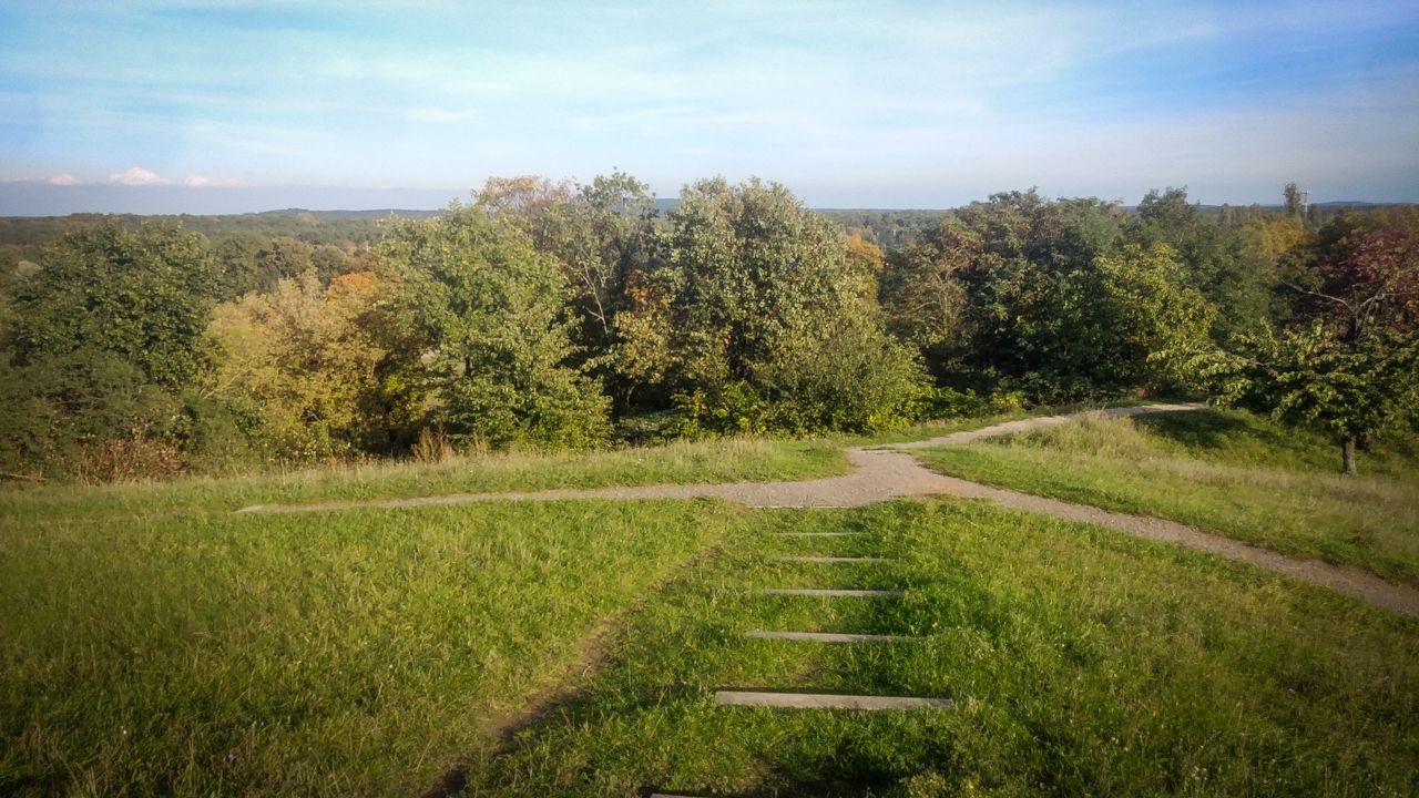 20231025_155114.jpg