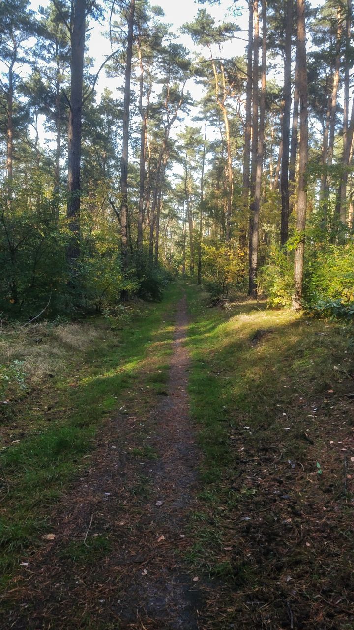 20231025_161737.jpg