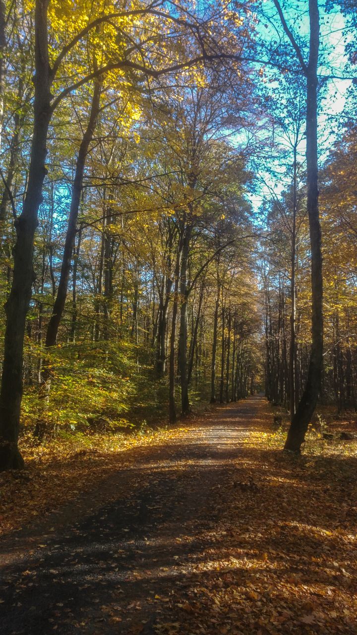 20231101_102513.jpg